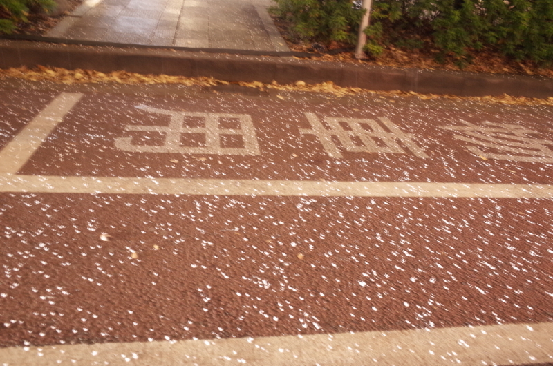 『川端道喜』さんの初雪