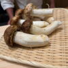 産地別の松茸を食べ比べ